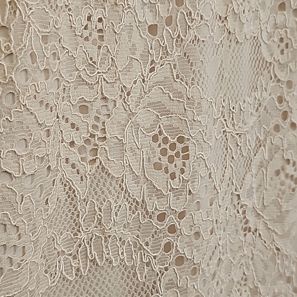 Nwt Nicole Miller Ny Blush Lace Sleeveless Evening Gown - Picture 17 of 17